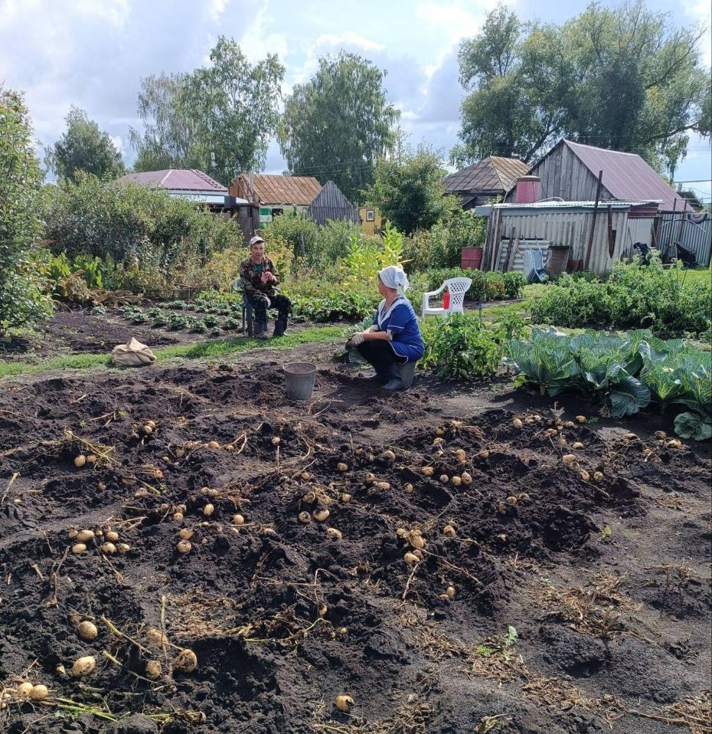 Акция «Богатому урожаю - добрые руки»
