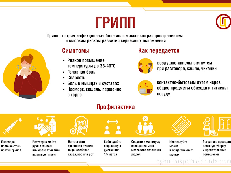 Профилактика гриппа и ОРВИ
