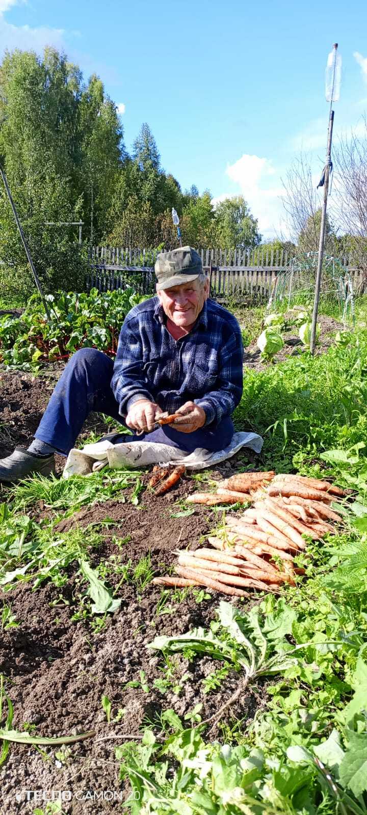 Сбор урожая